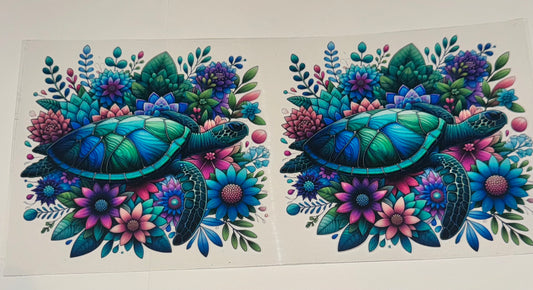WRAPS - Turtles